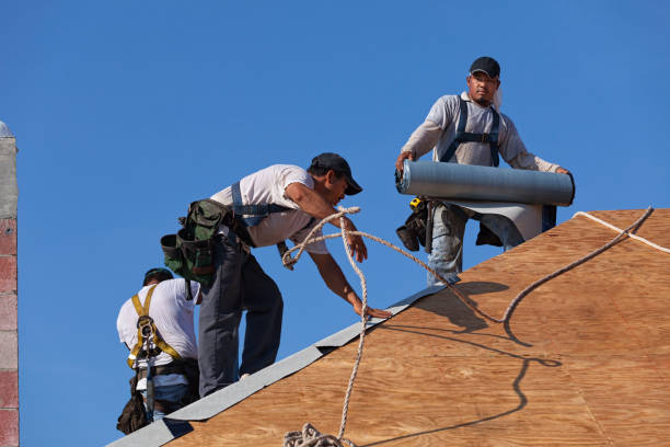 Best Roof Maintenance Services  in Barbourville, KY