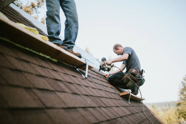 Best Metal Roofing Contractor  in Barbourville, KY
